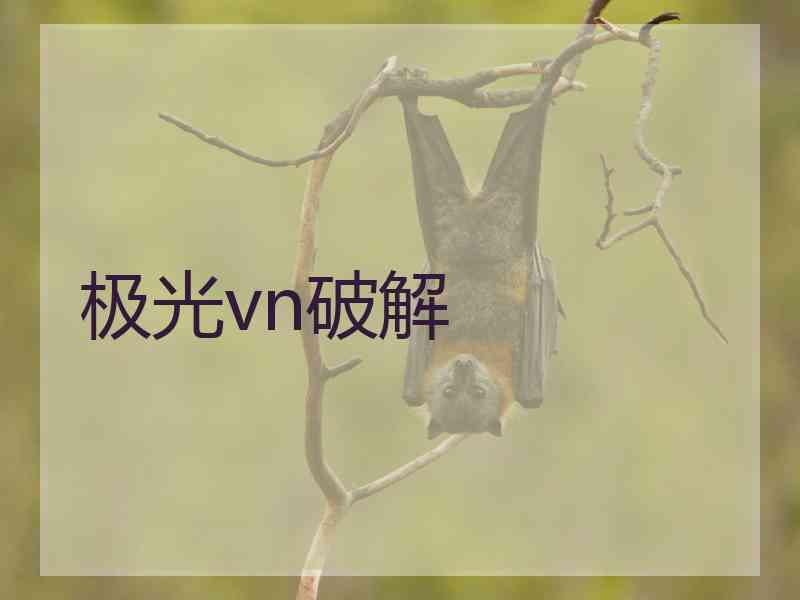 极光vn破解