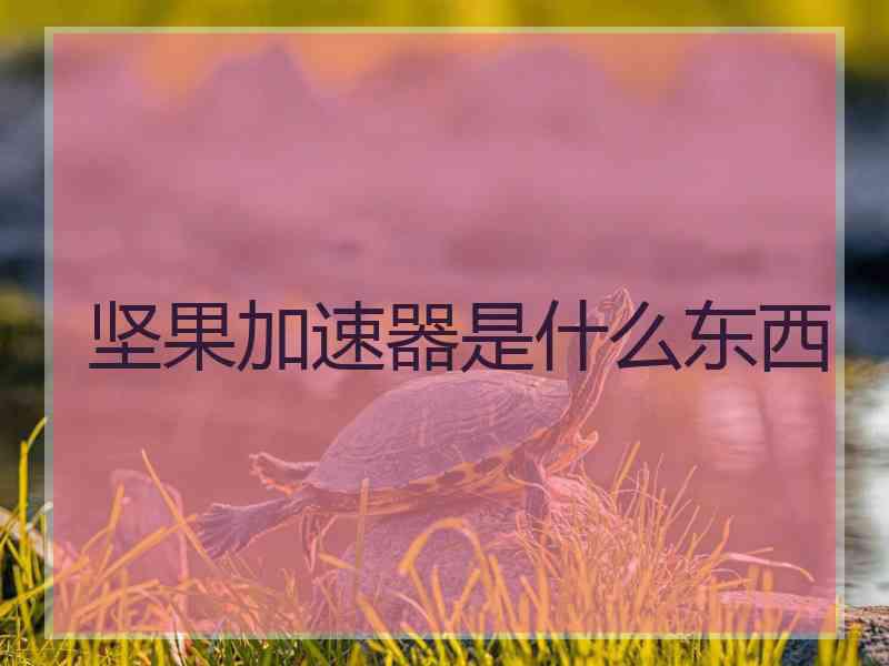 坚果加速器是什么东西