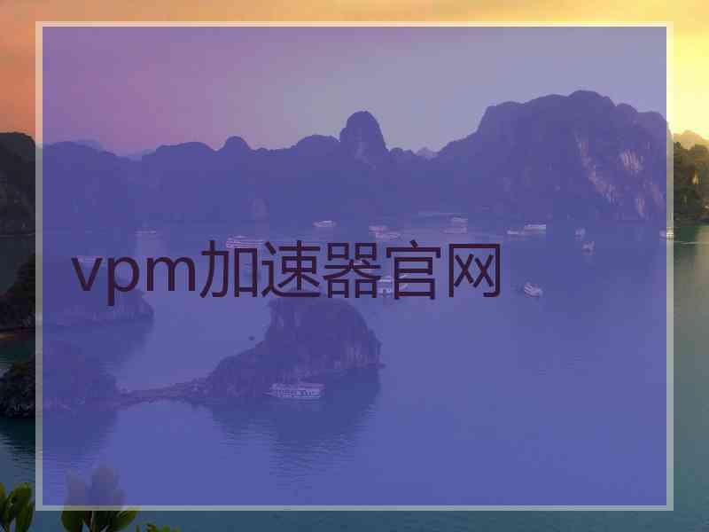 vpm加速器官网