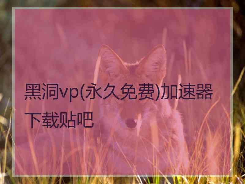 黑洞vp(永久免费)加速器下载贴吧