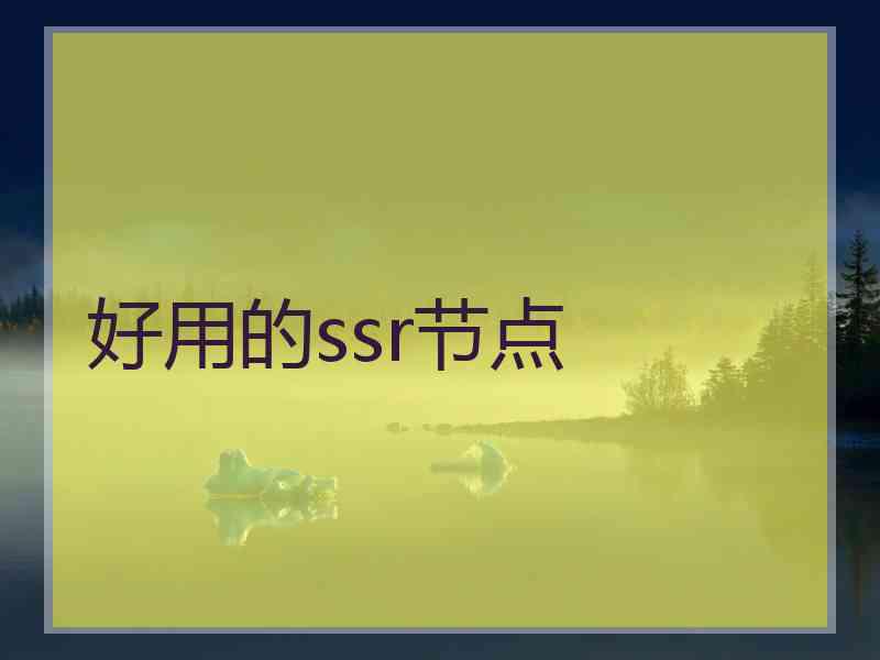 好用的ssr节点