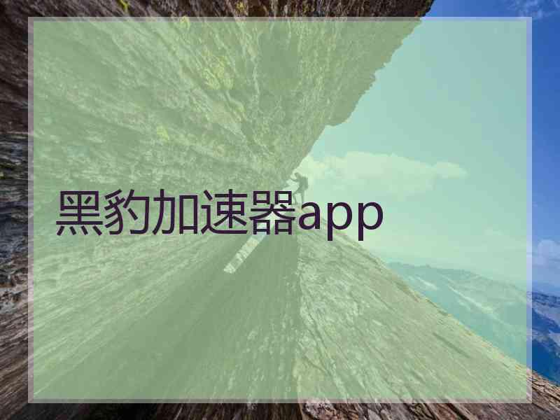 黑豹加速器app