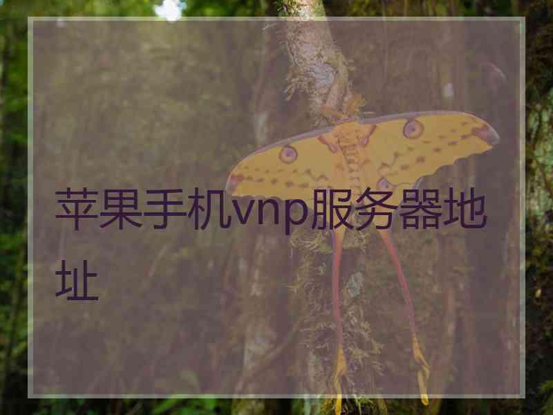 苹果手机vnp服务器地址