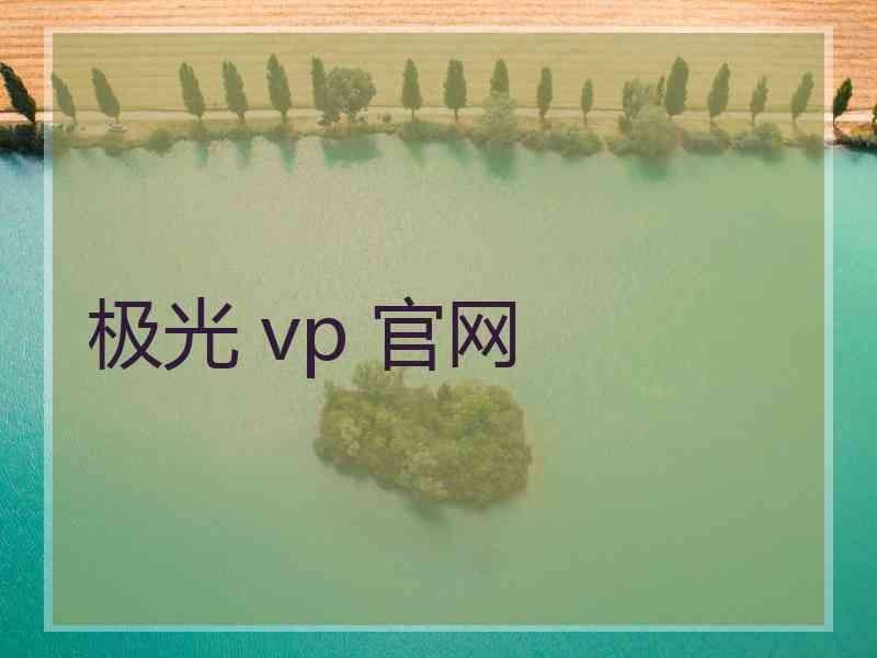 极光 vp 官网