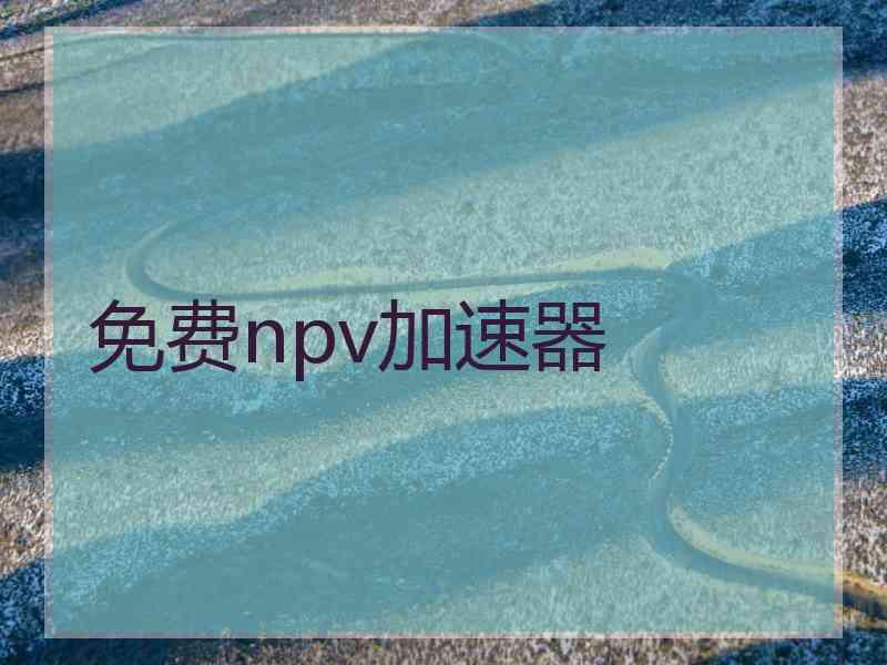 免费npv加速器
