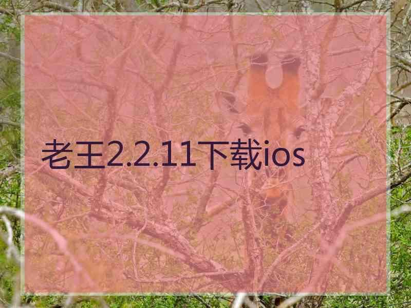 老王2.2.11下载ios