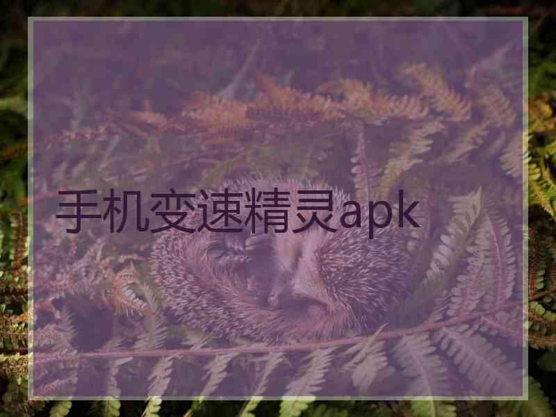 手机变速精灵apk
