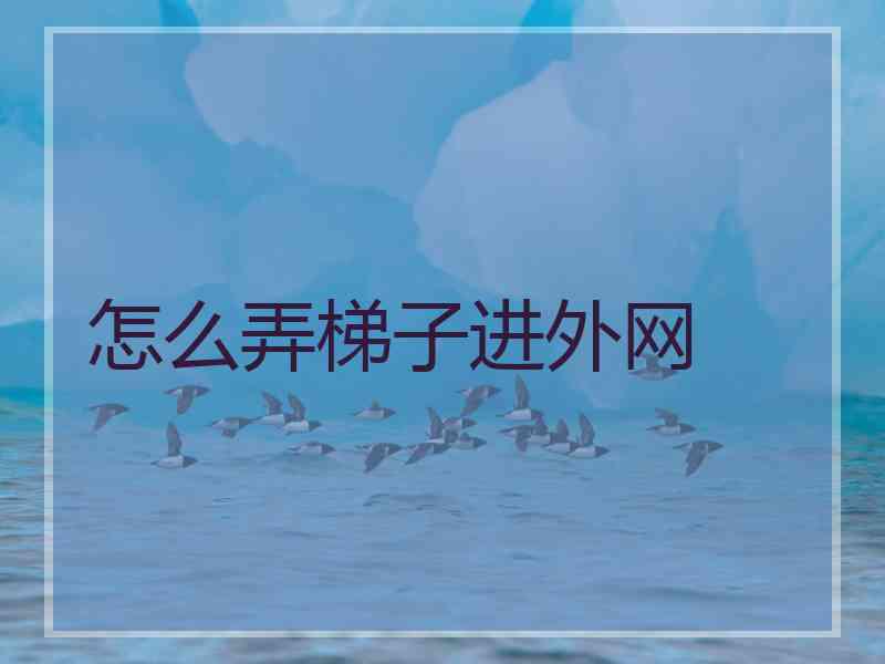 怎么弄梯子进外网