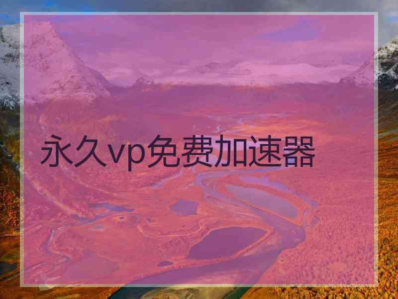 永久vp免费加速器