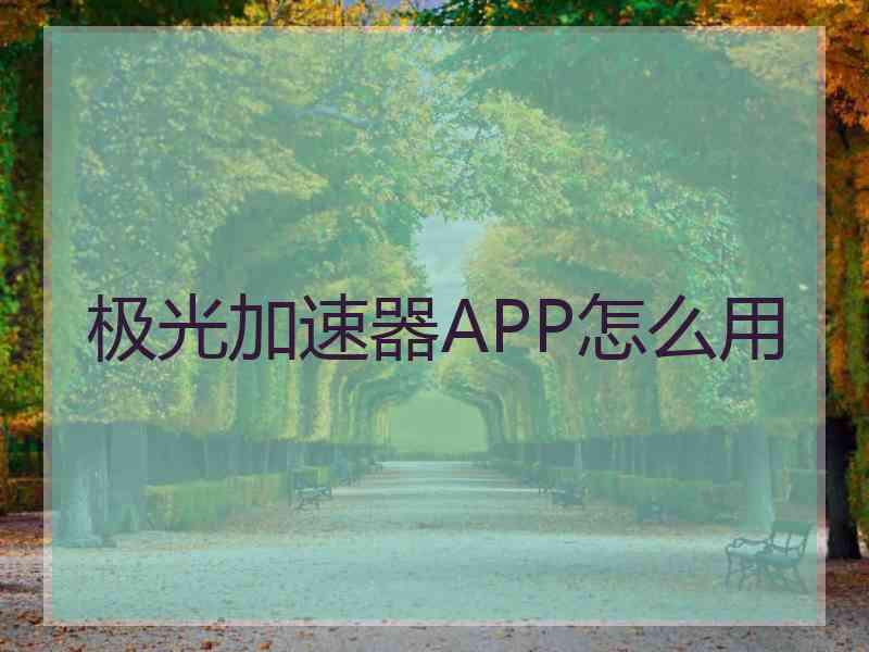 极光加速器APP怎么用
