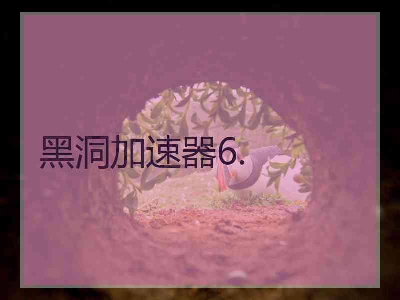 黑洞加速器6.