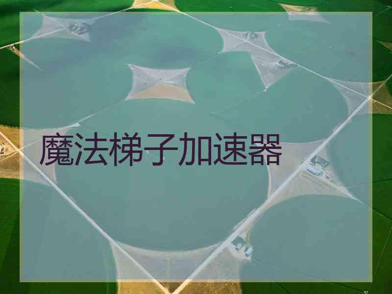 魔法梯子加速器