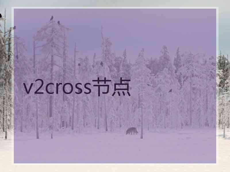 v2cross节点