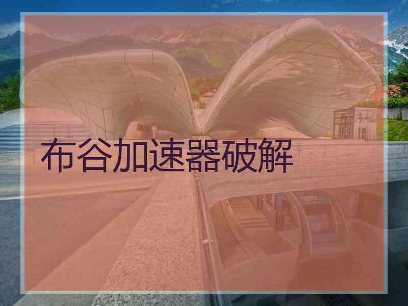 布谷加速器破解