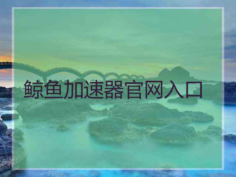 鲸鱼加速器官网入口