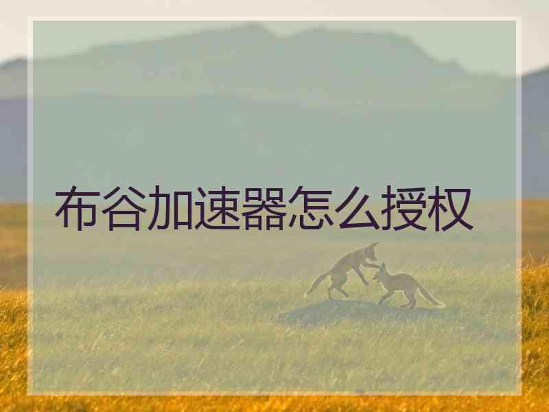 布谷加速器怎么授权
