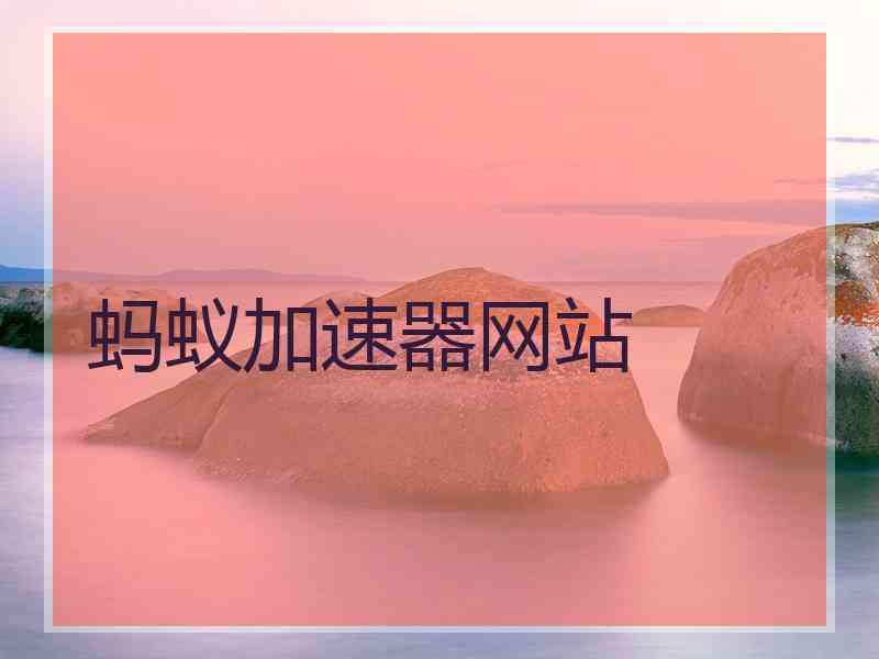 蚂蚁加速器网站