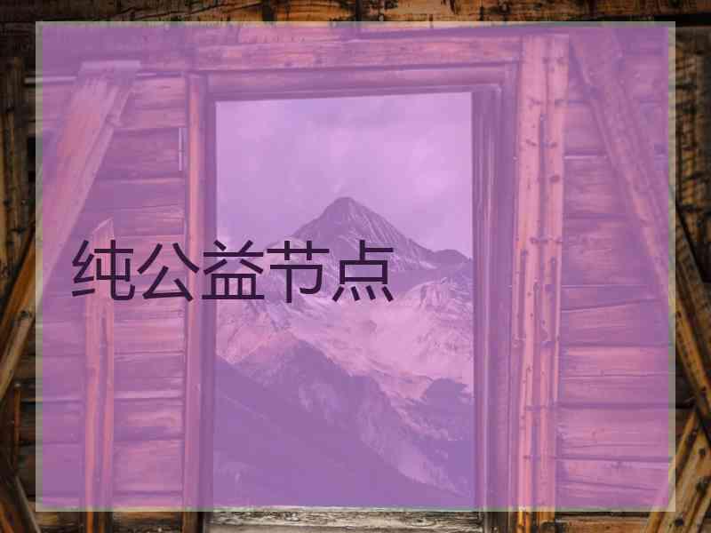 纯公益节点