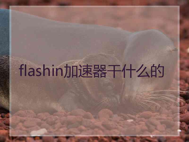 flashin加速器干什么的