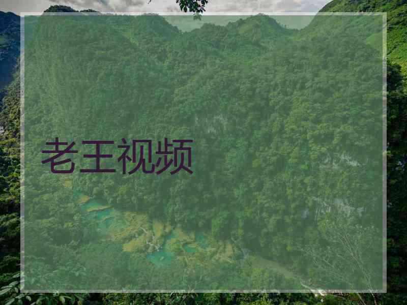老王视频