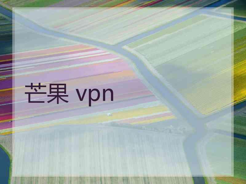 芒果 vpn