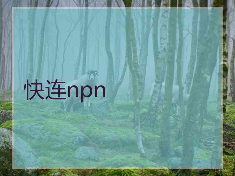 快连npn