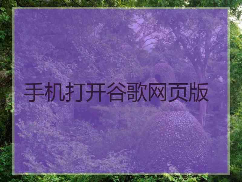 手机打开谷歌网页版