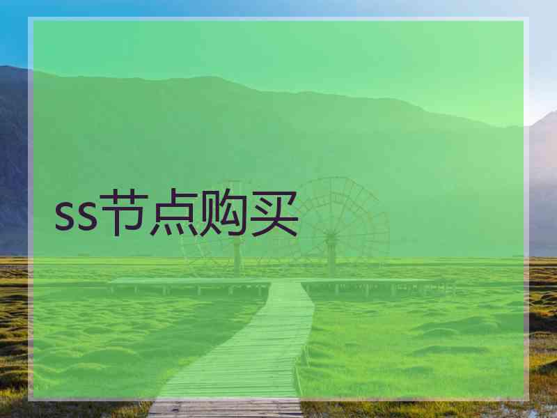 ss节点购买
