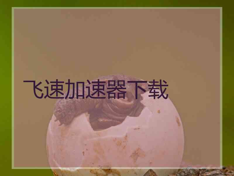 飞速加速器下载