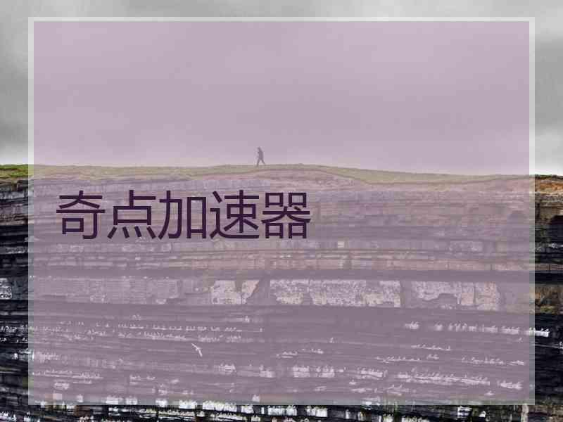 奇点加速器