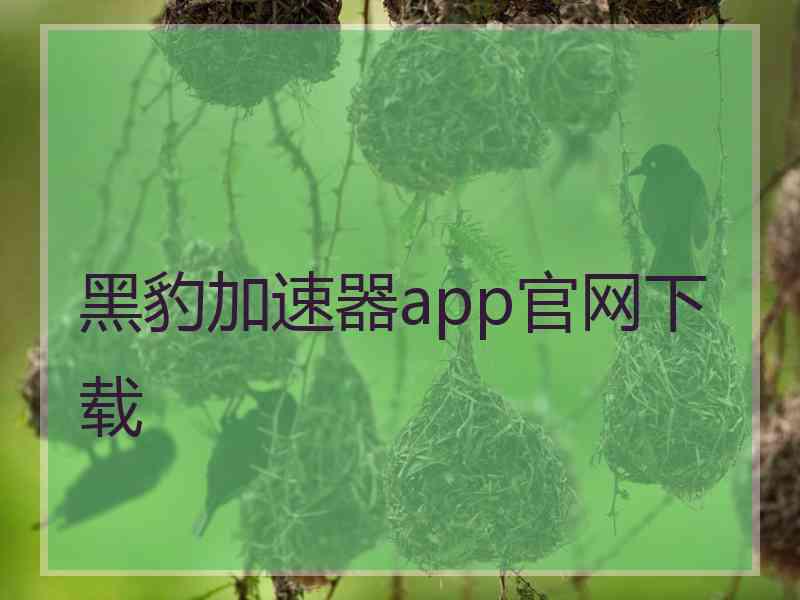 黑豹加速器app官网下载