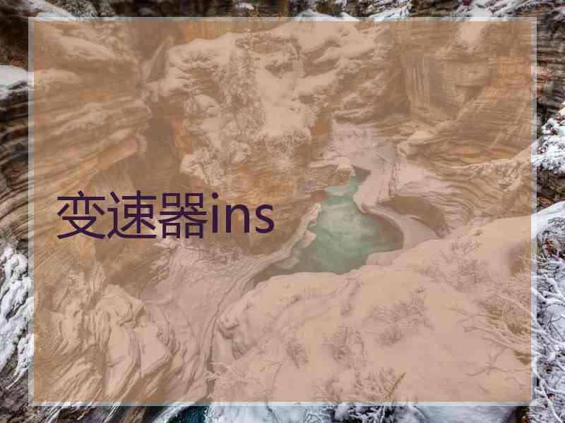 变速器ins