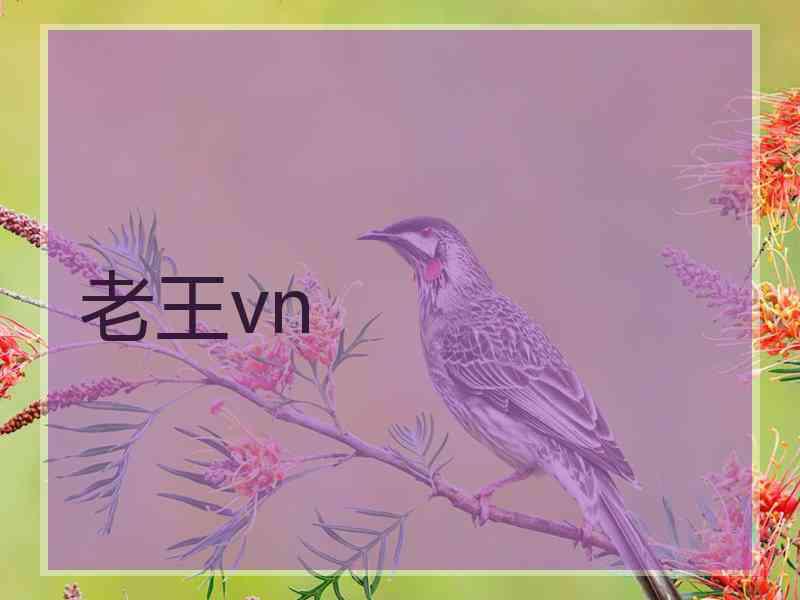 老王vn