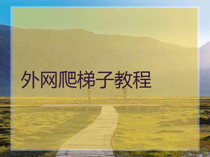 外网爬梯子教程