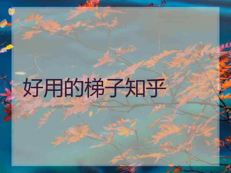 好用的梯子知乎