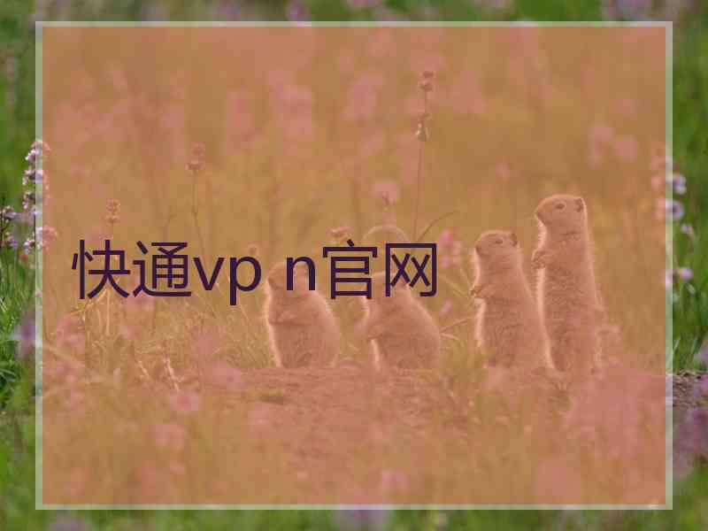 快通vp n官网