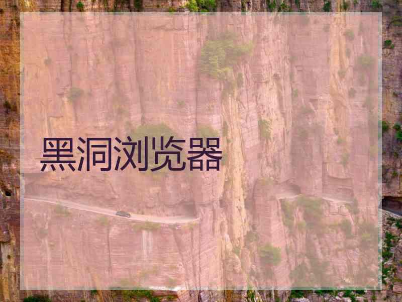 黑洞浏览器