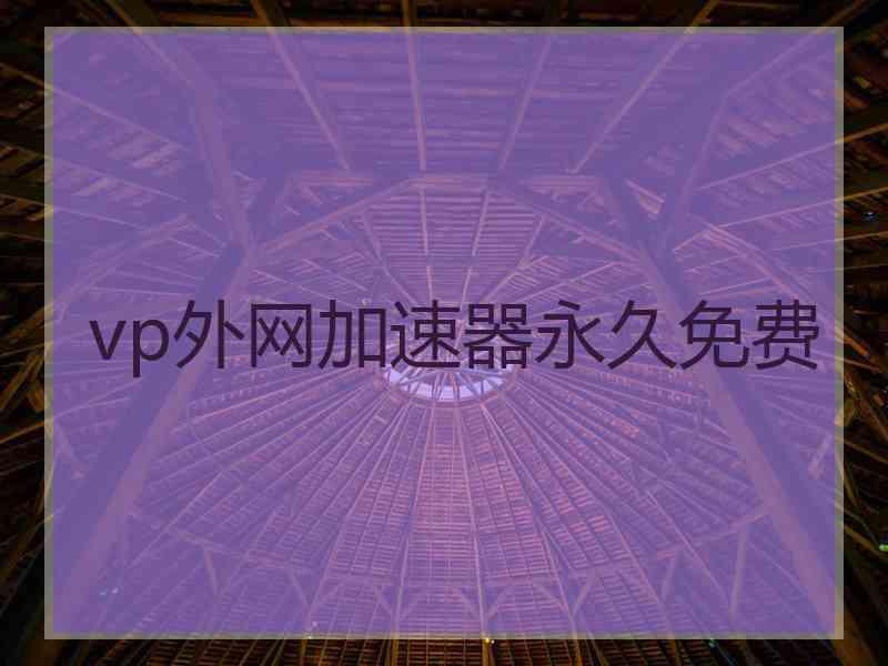 vp外网加速器永久免费