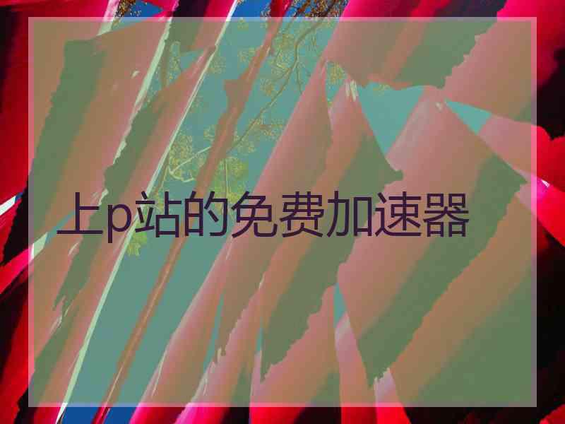 上p站的免费加速器