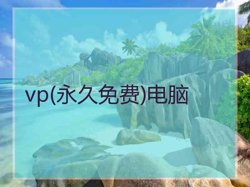 vp(永久免费)电脑