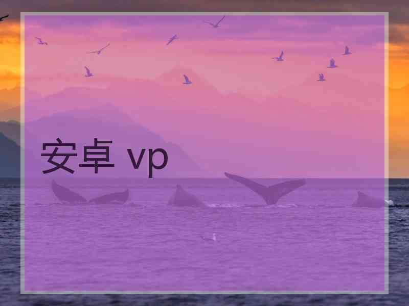 安卓 vp