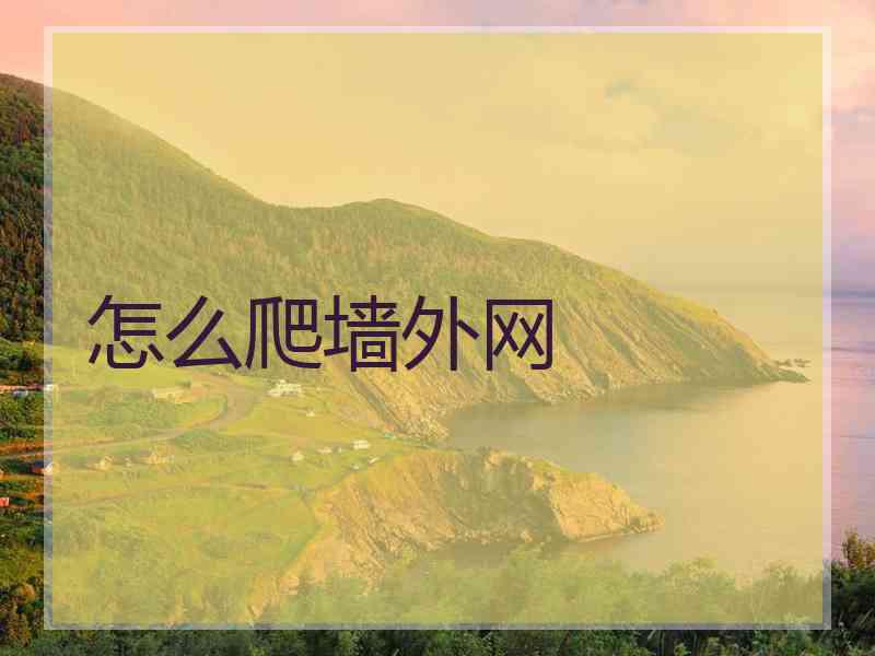 怎么爬墙外网