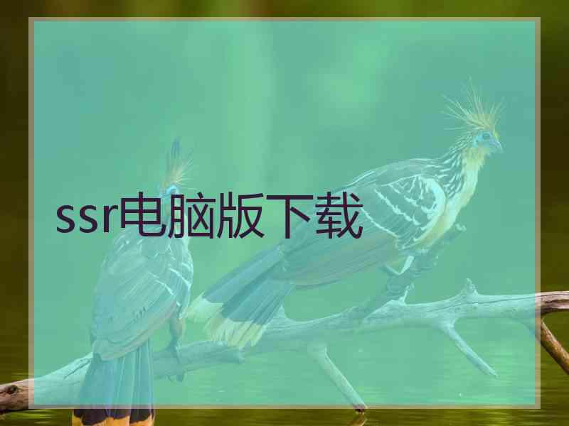 ssr电脑版下载