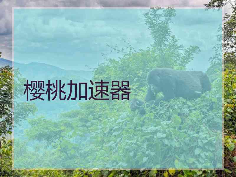 樱桃加速器