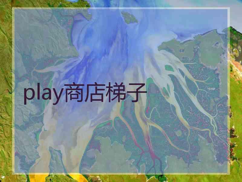 play商店梯子