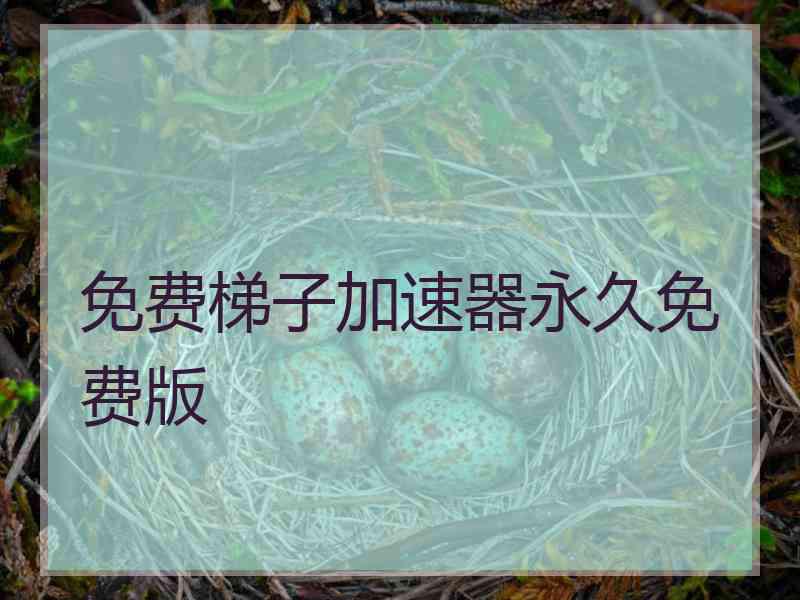 免费梯子加速器永久免费版