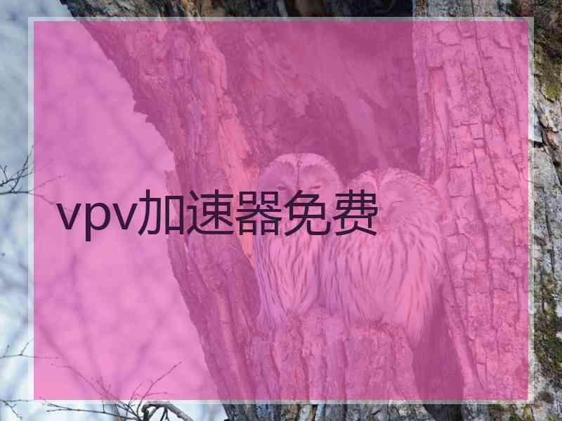 vpv加速器免费