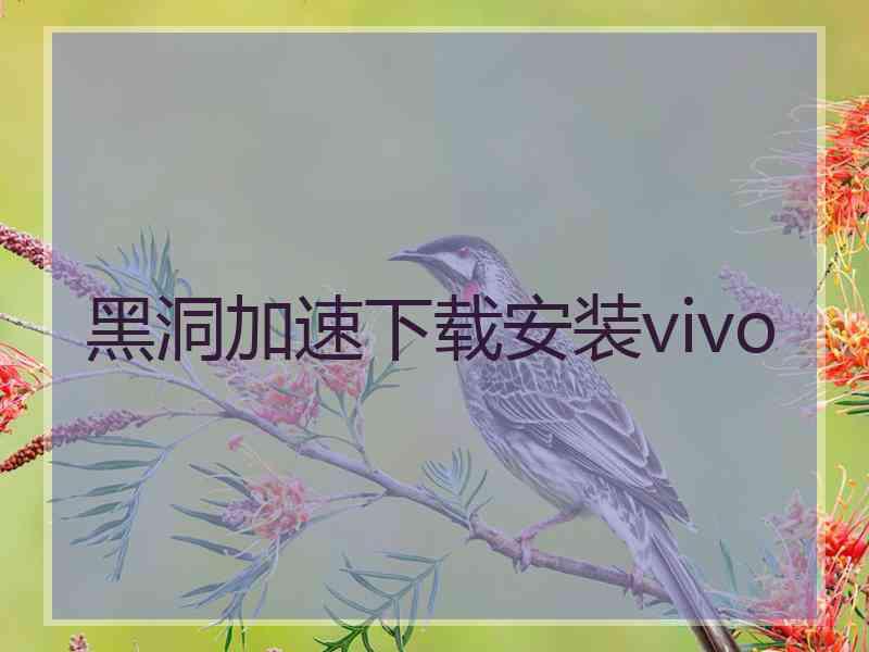 黑洞加速下载安装vivo