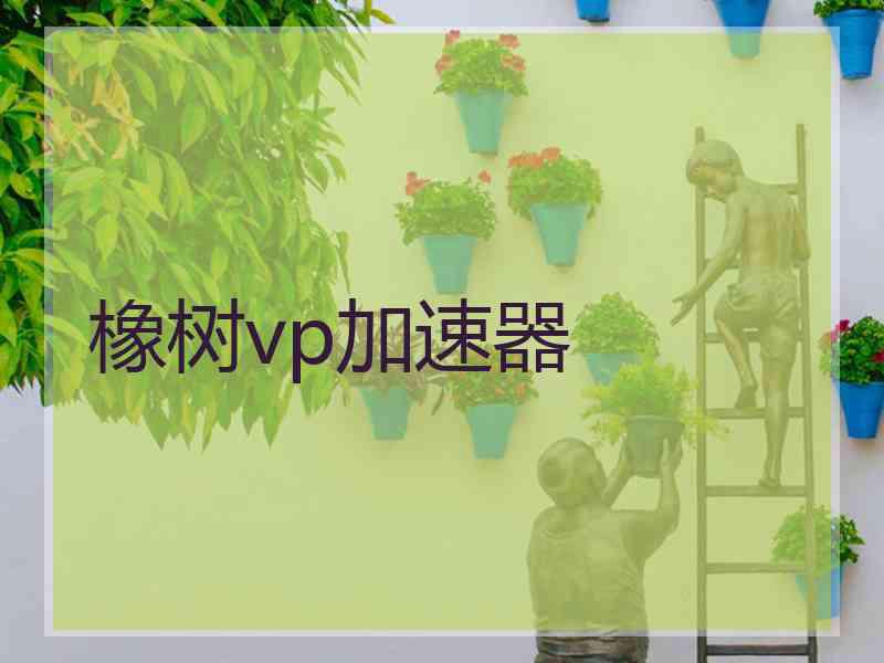 橡树vp加速器
