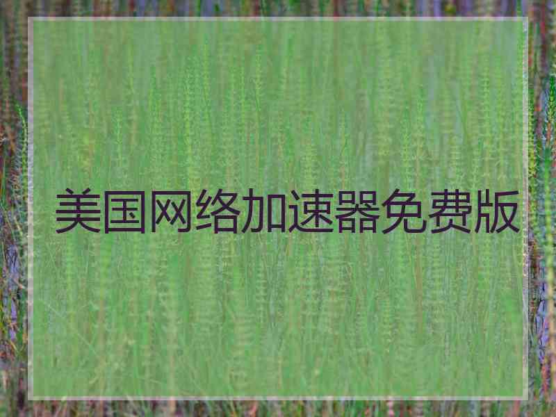 美国网络加速器免费版